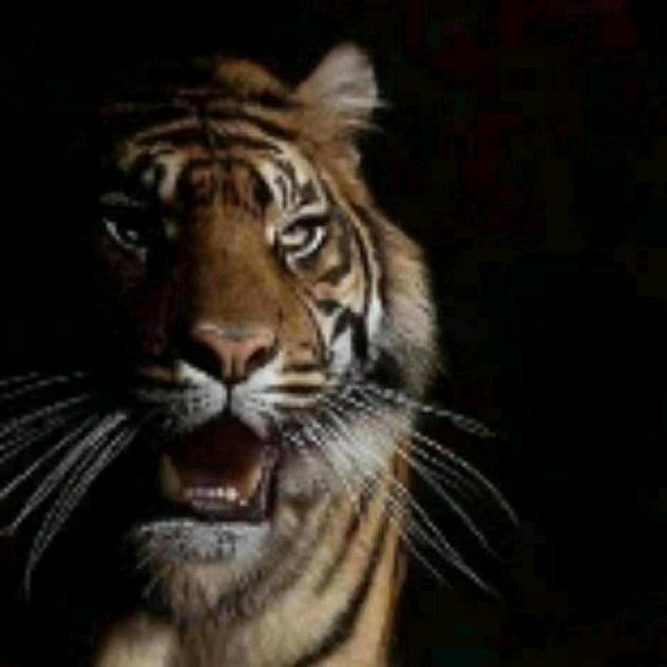 用户124646481846467