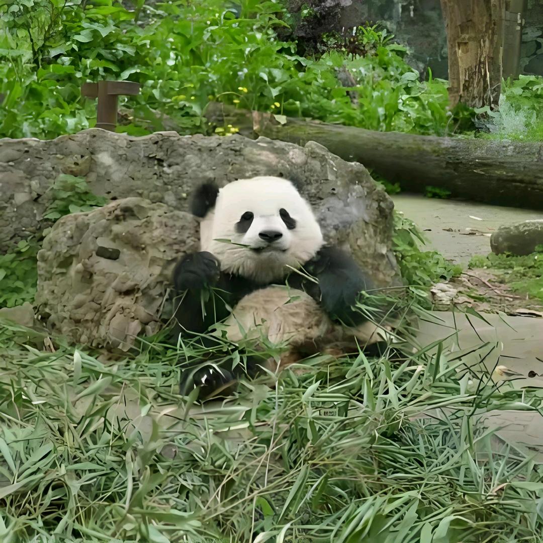 七十二