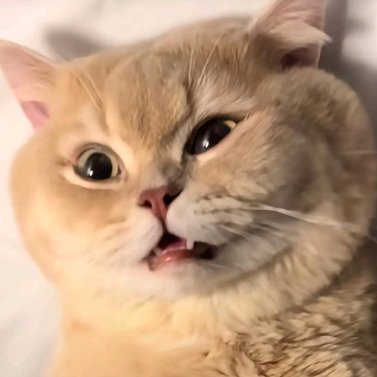 澄迈乡邑建材有限公司6官方号