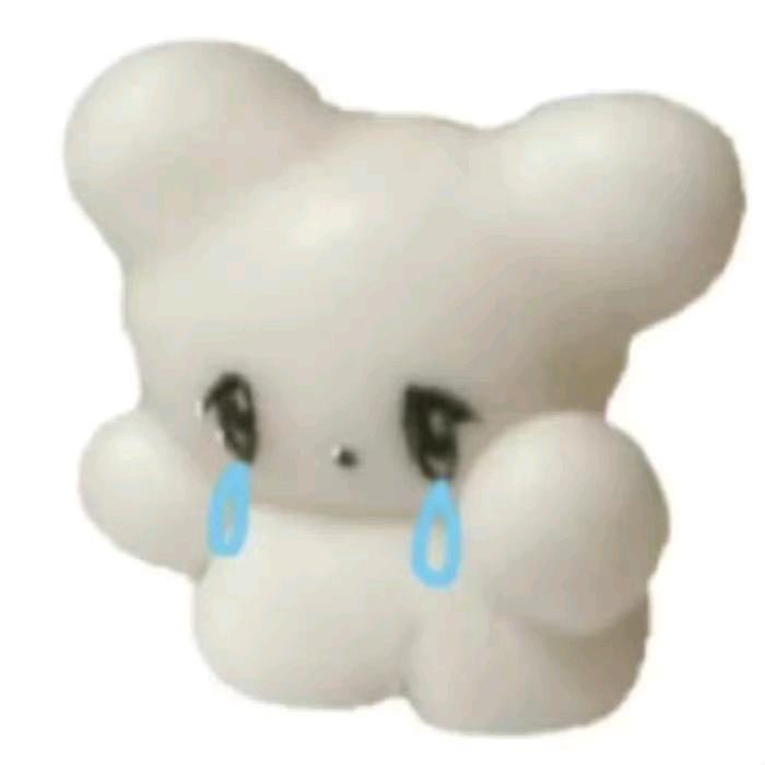苦瓜番茄粥