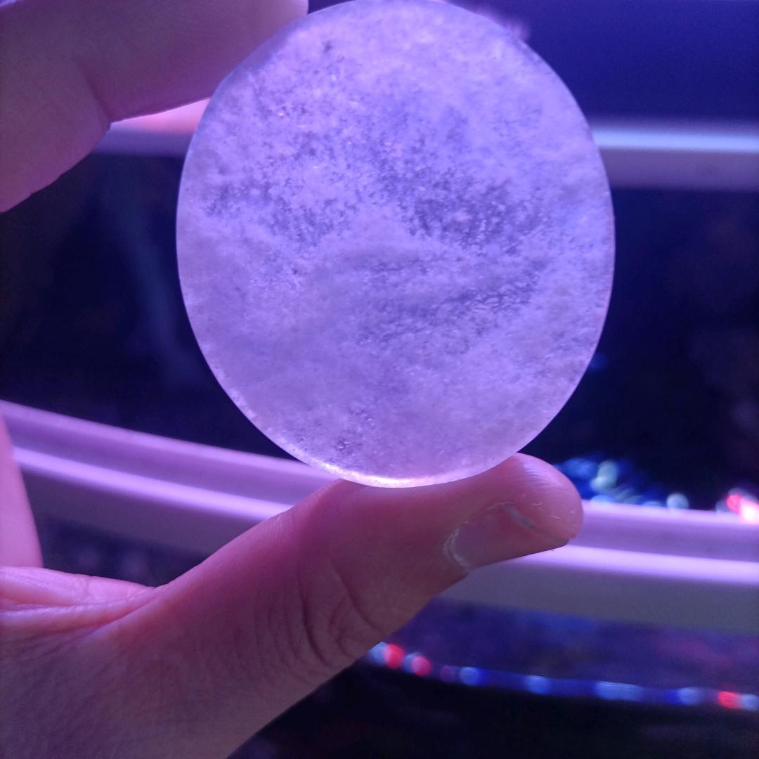 (●∈掌舵人∋●)