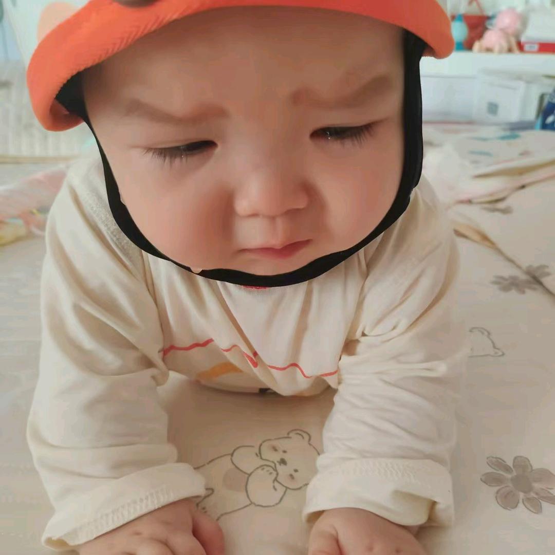 娄总