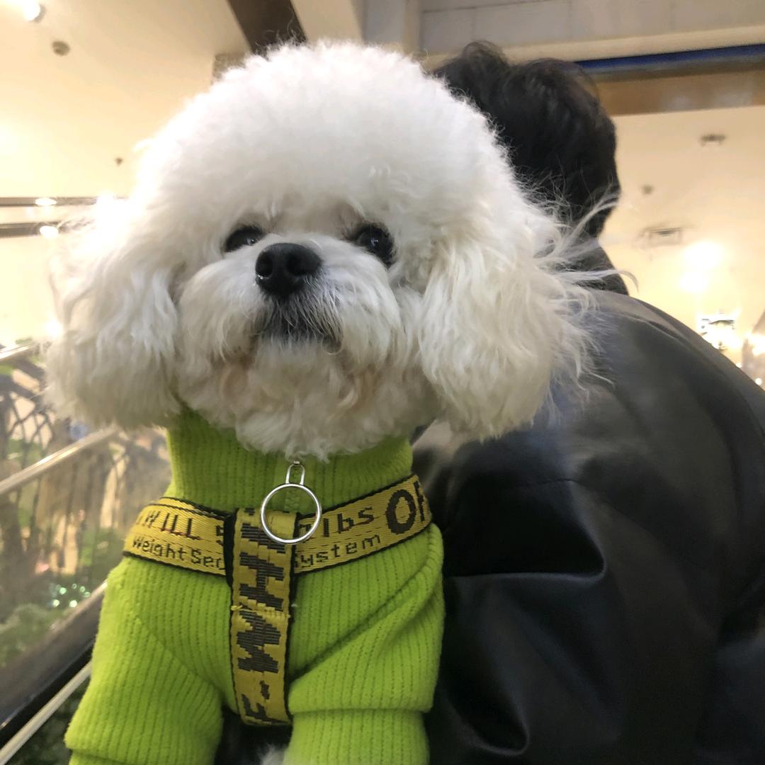 卡戴叁