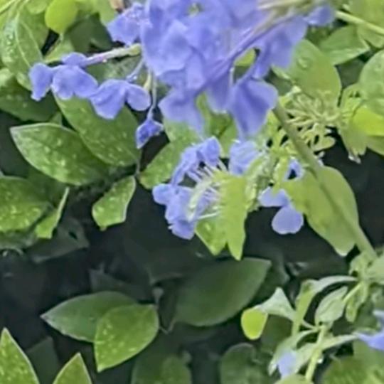 收藏