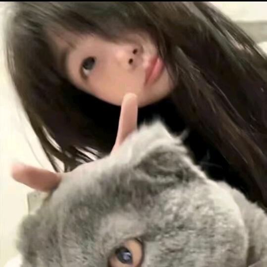 芝士奶盖