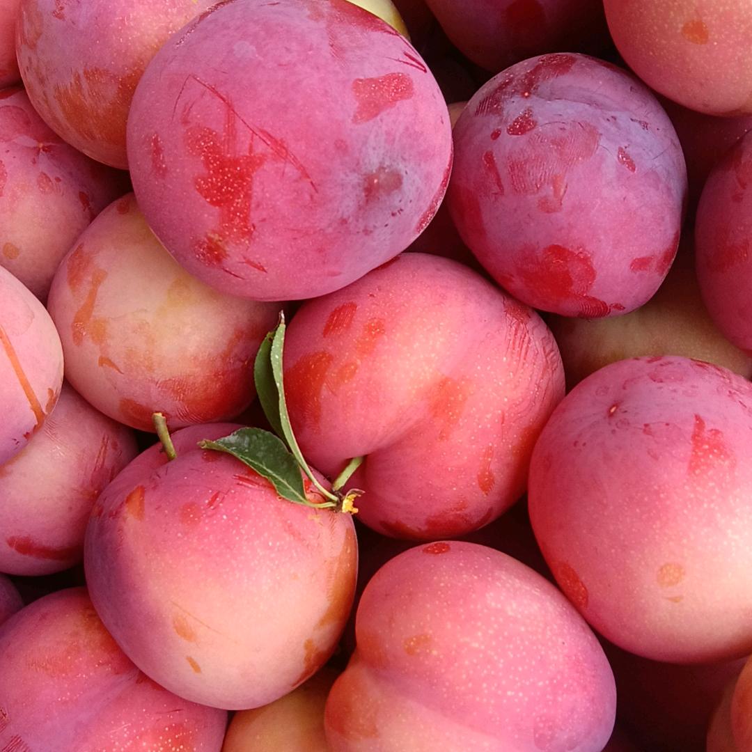 幸福的一家人一切都很好