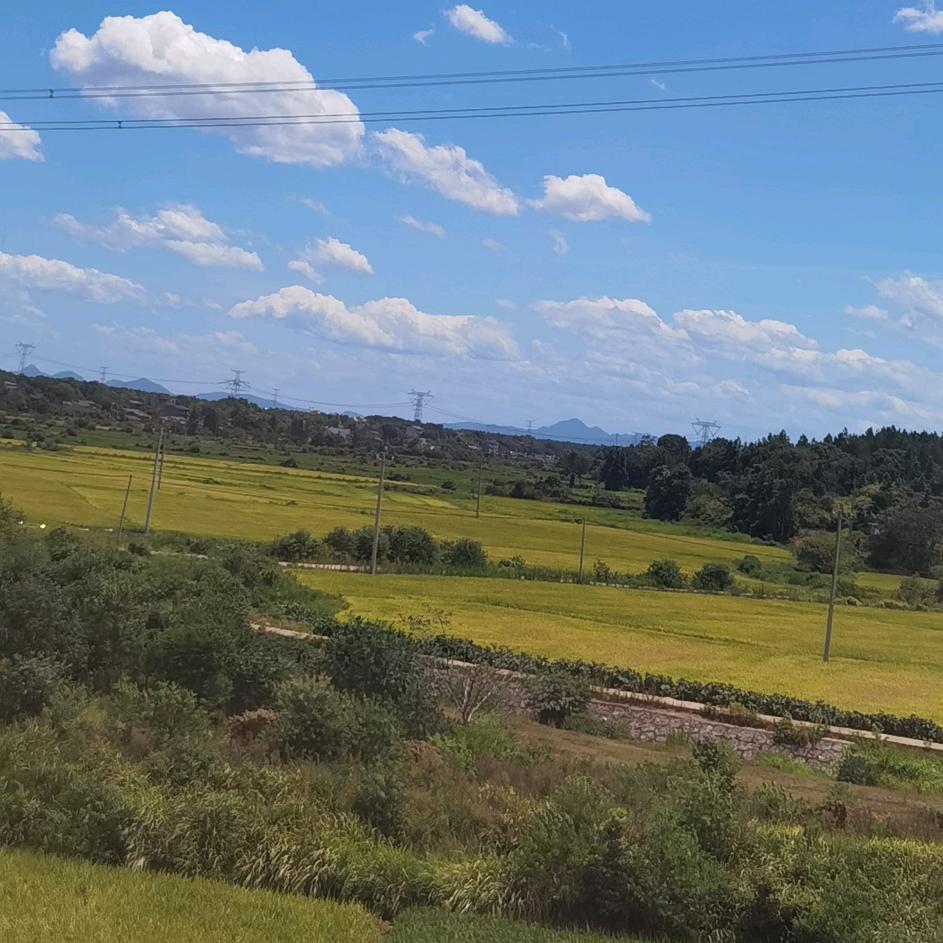 一念之间⁵⁸⁸