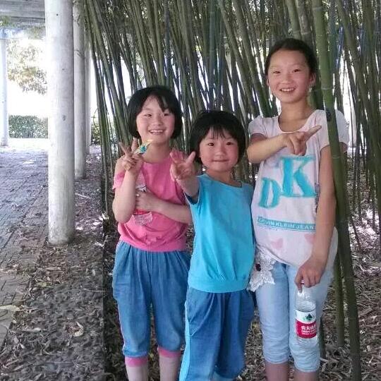 东方豫友