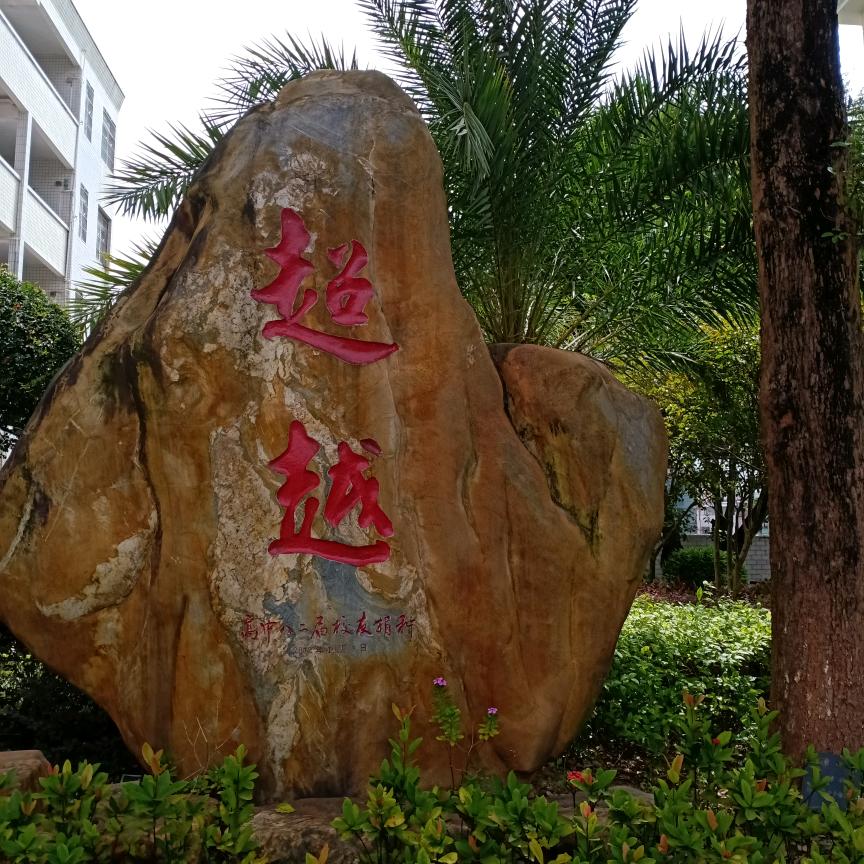 春天的玫瑰