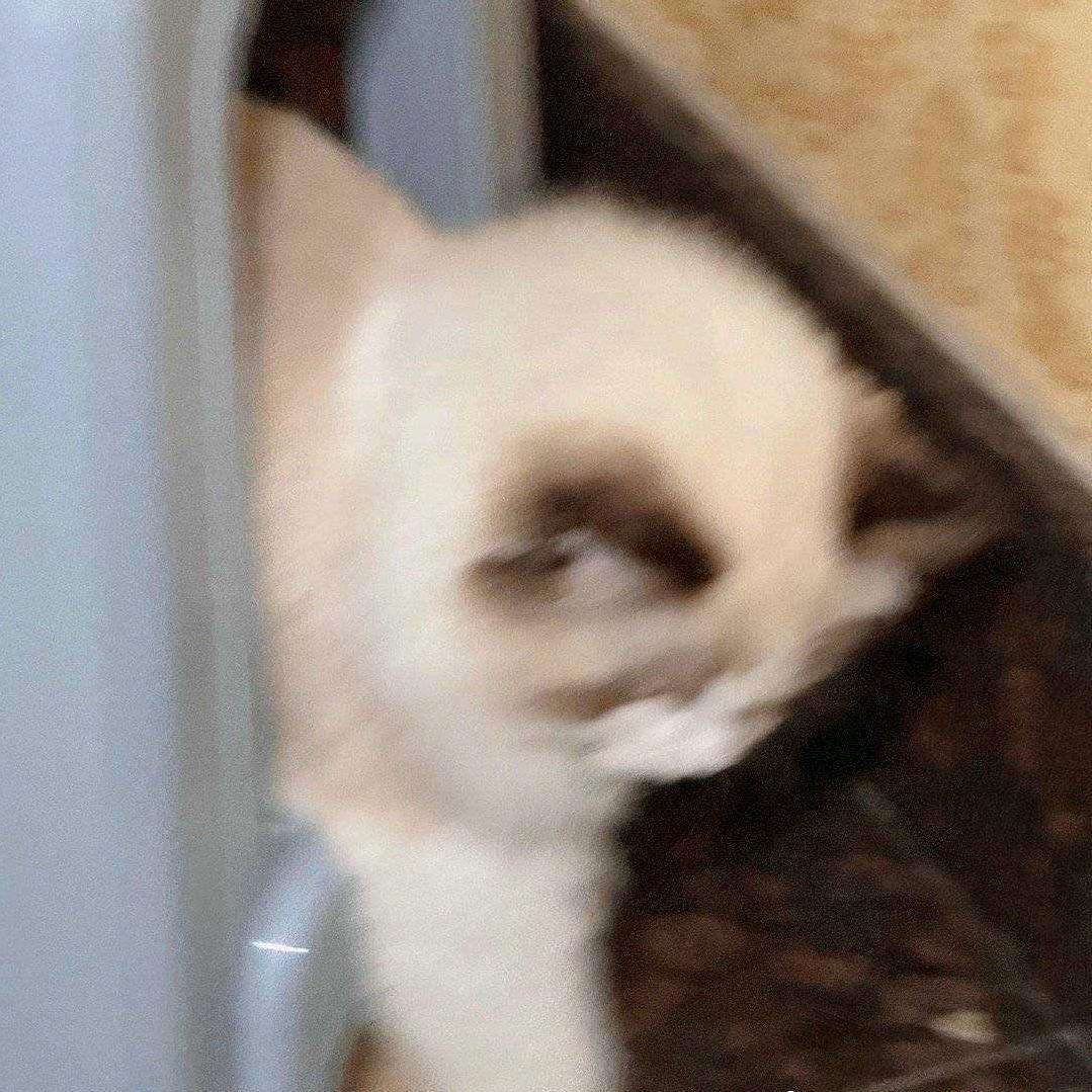 Lceberh