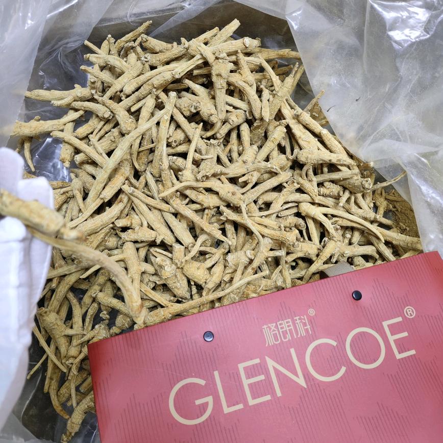 加拿大格朗科西洋参农场