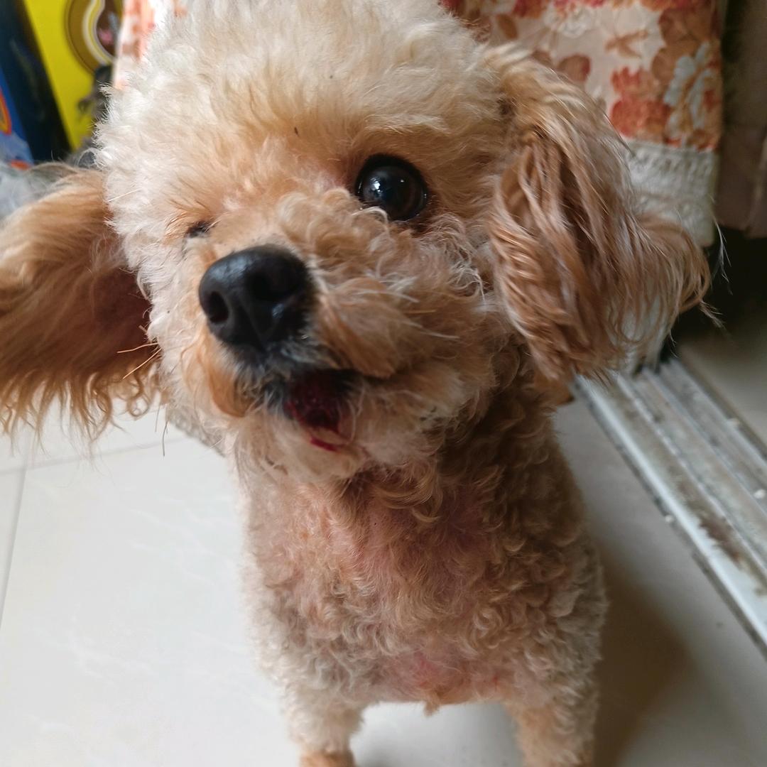 ╭( ′• o •′ )╭☞就是这个！