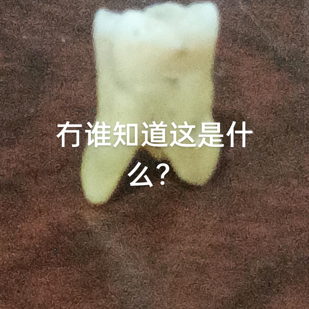 混沌剑神，时空穿越