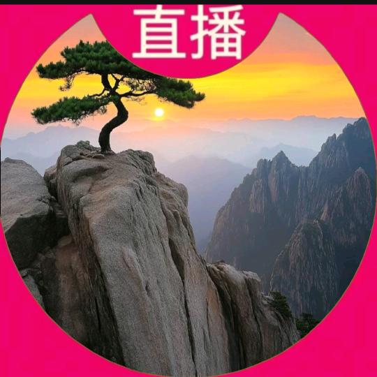 王宇燃点