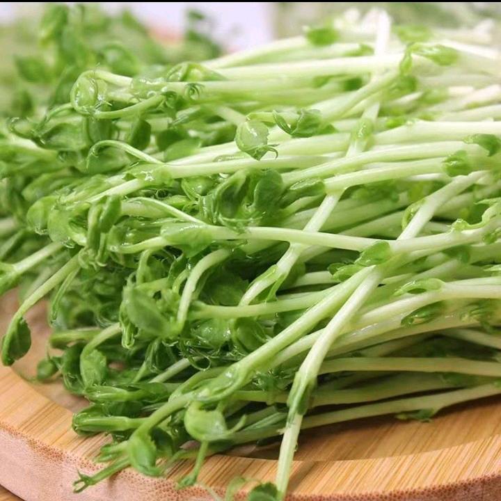 启源
