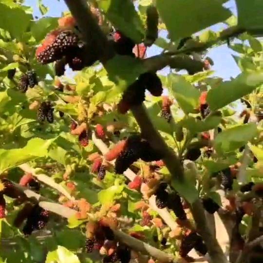 室内外，广告装修