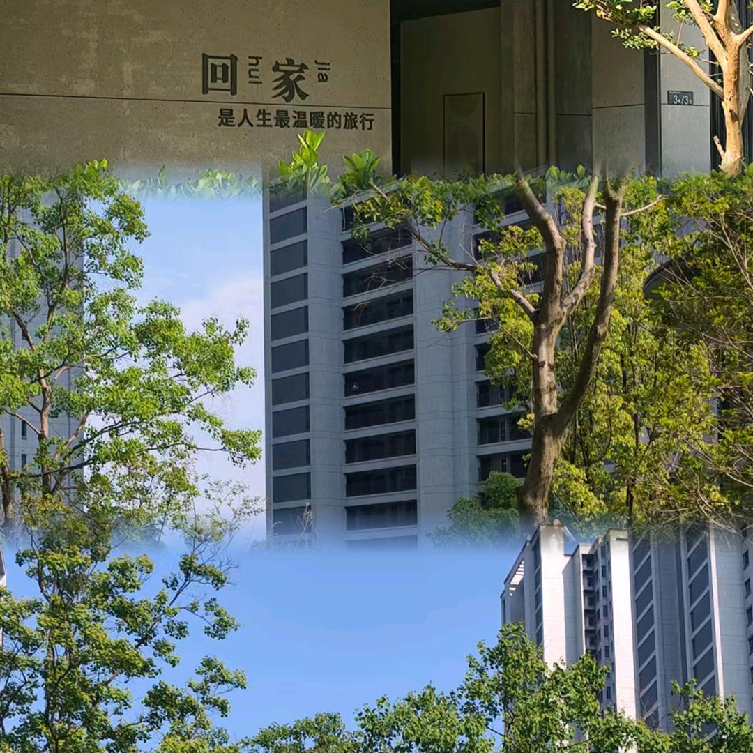 叮咚.