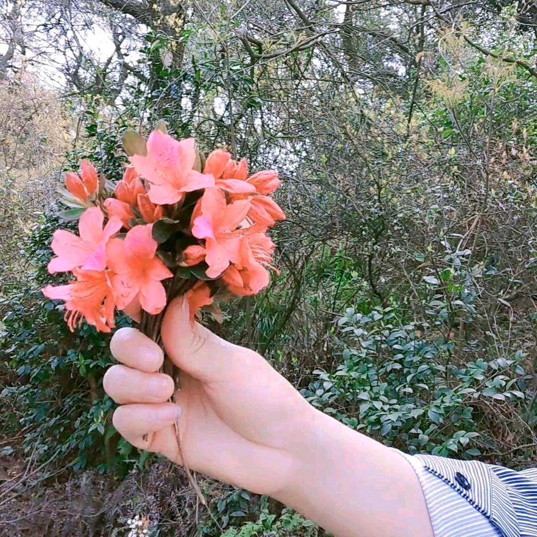 小雨转晴
