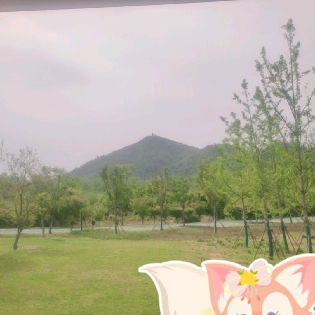 虾扯蛋到处跑