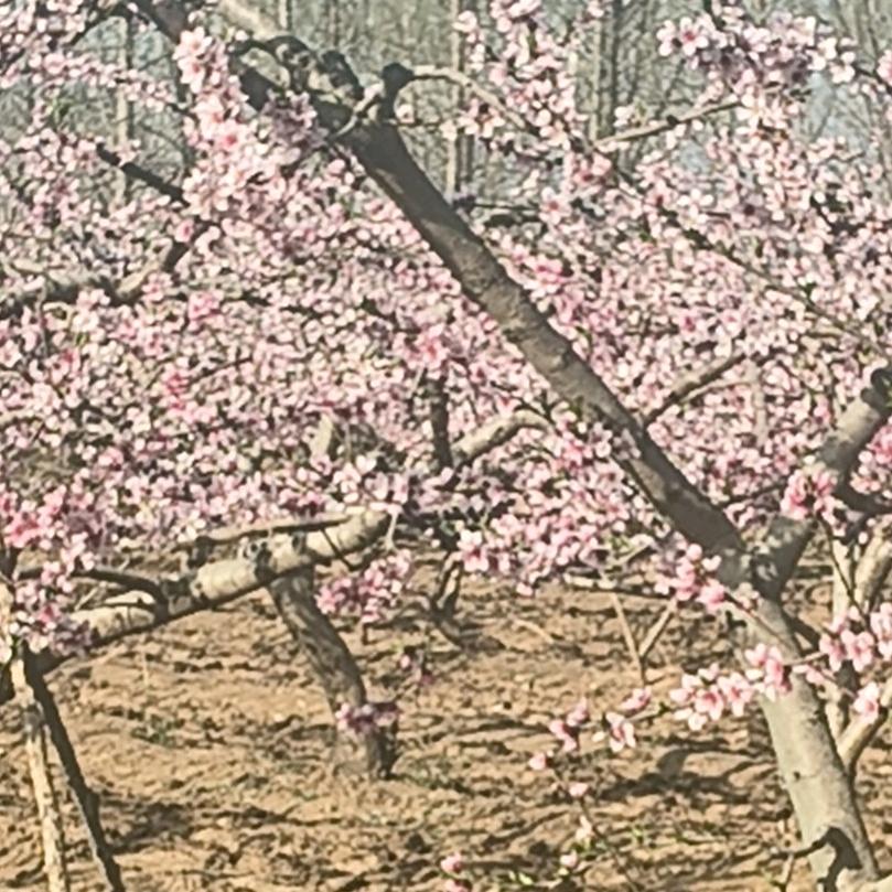 想个好听的名字好难