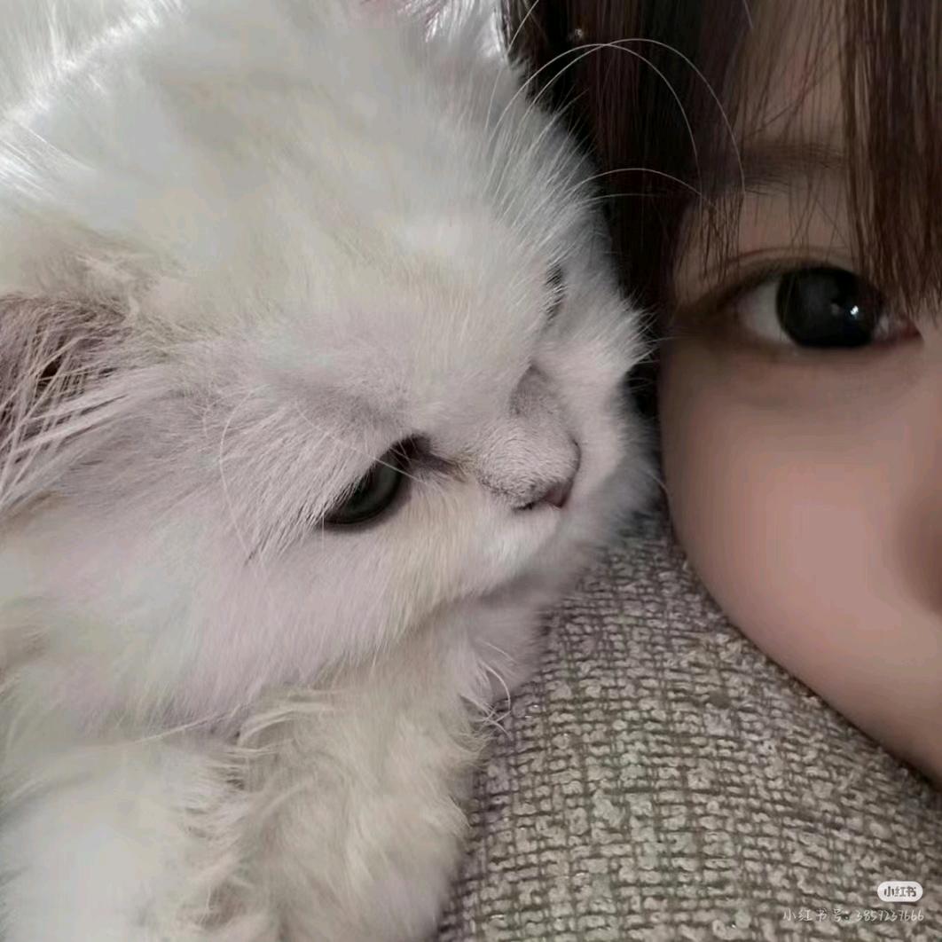 ¹个萱.