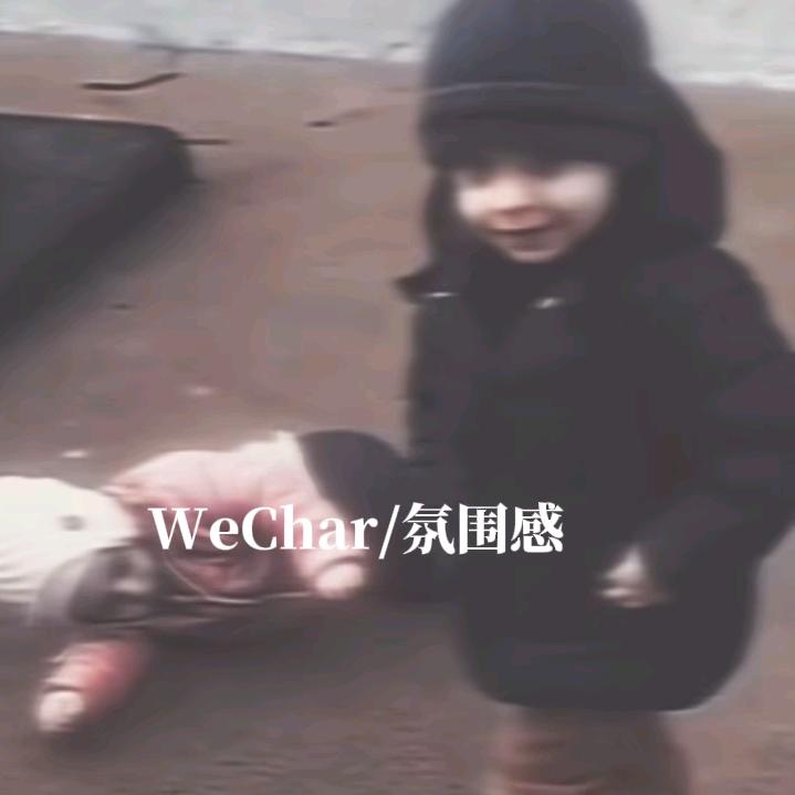 西红柿喜欢番茄