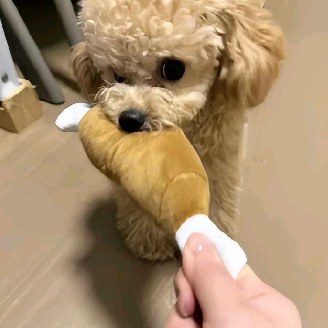 哈哈哈哈哈哈哈哈哈哈哈哈哈哈哈哈哈哈哈哈