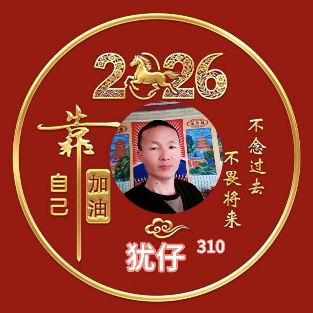 犹仔310