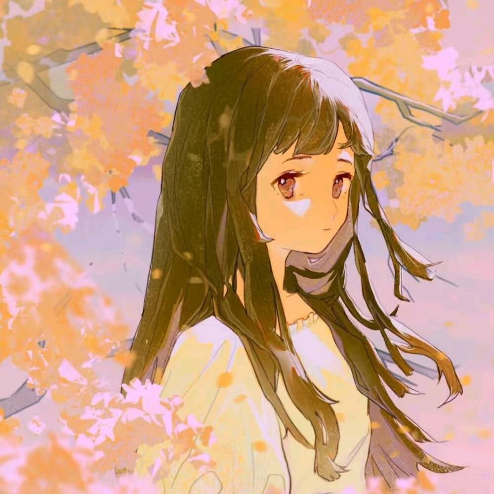 美美省省优选