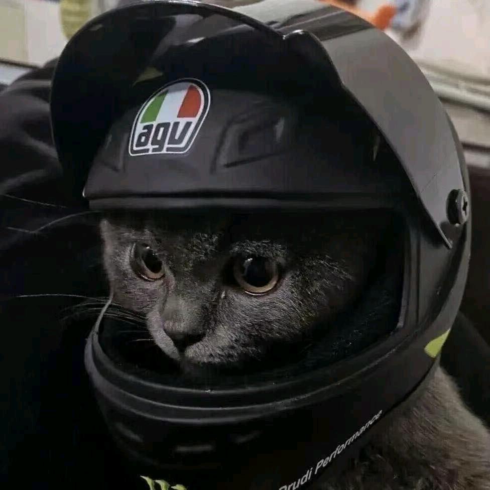 重庆蹑影机车（全新车）