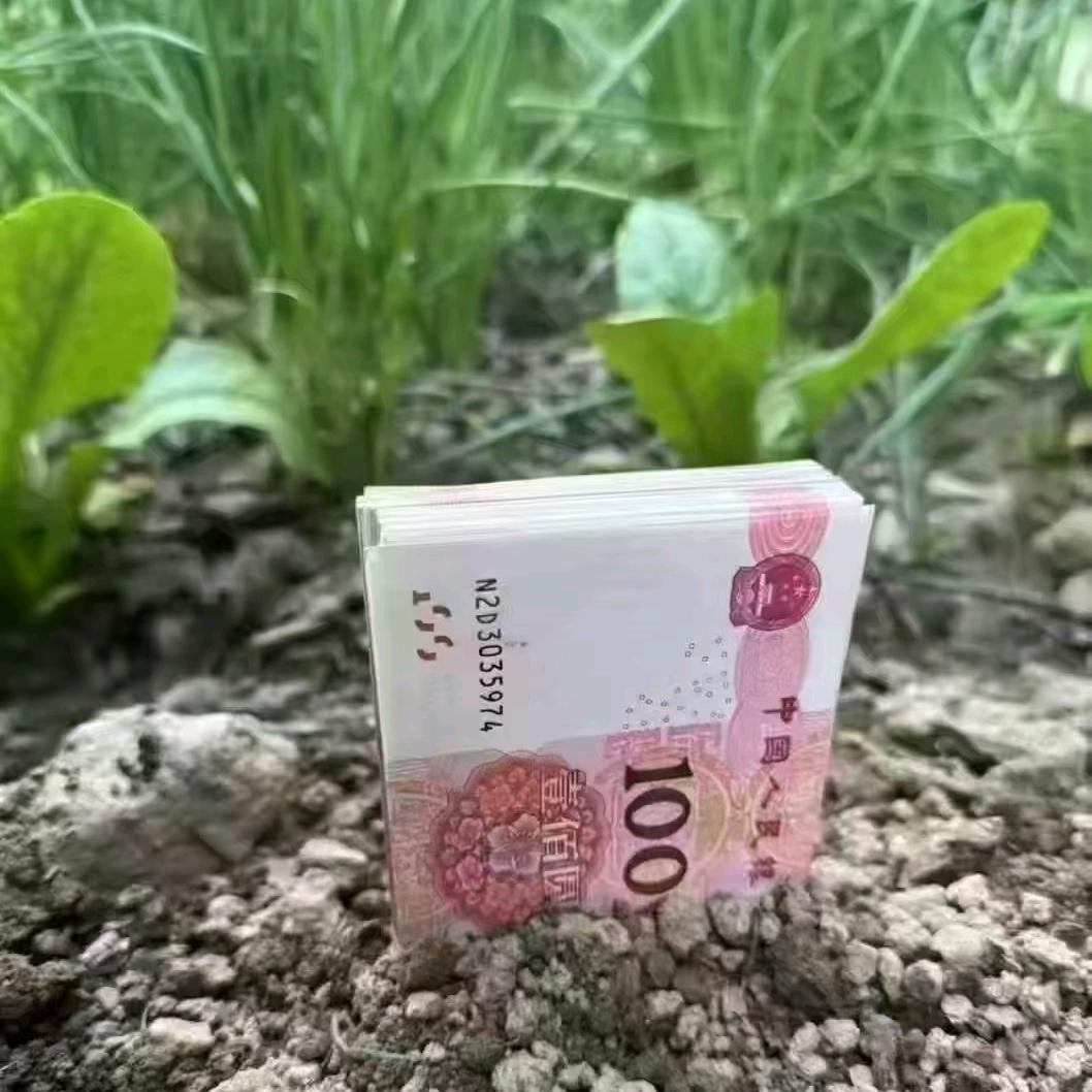 原谅的人