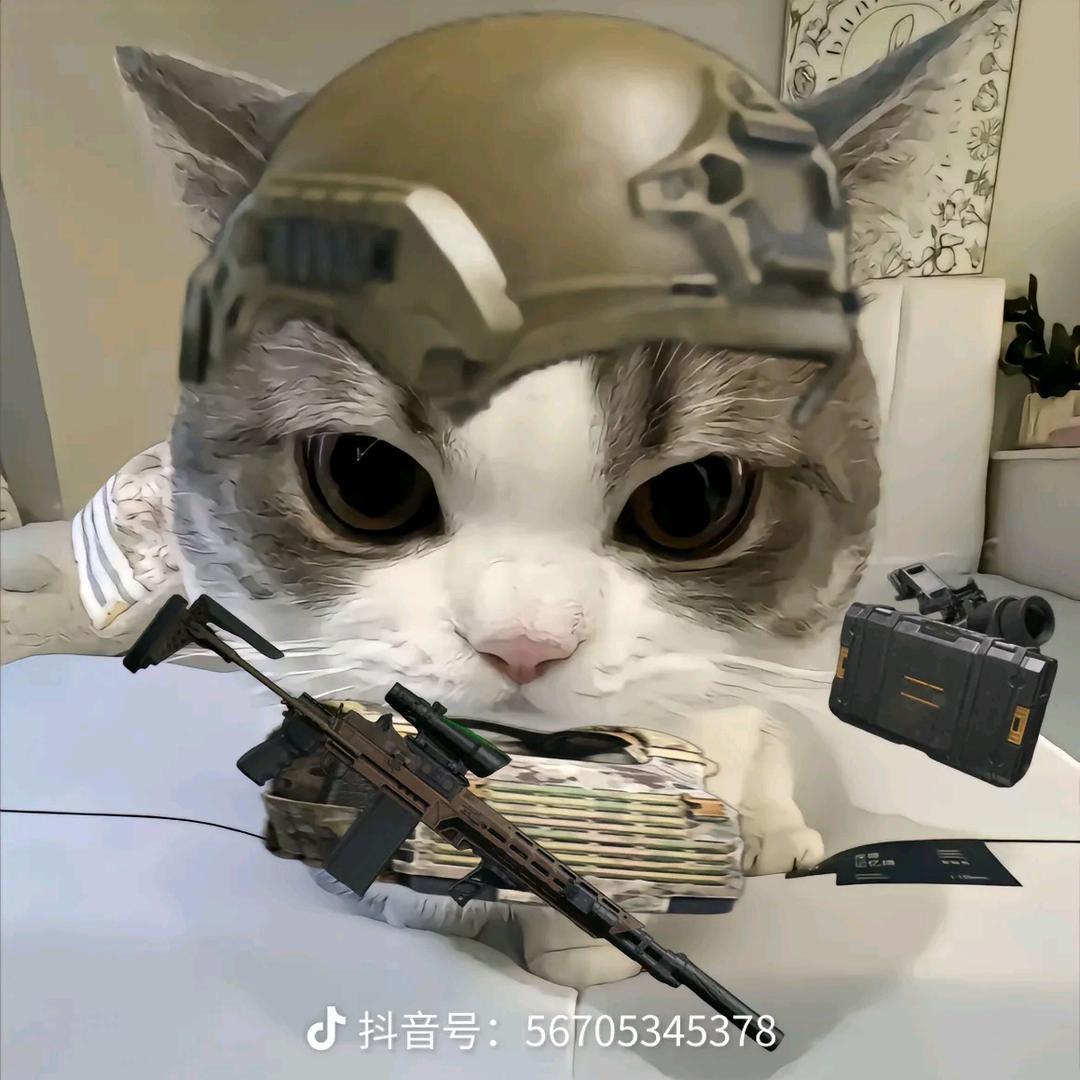 香香