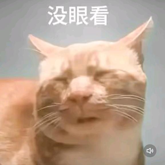 鱼与雨与夜