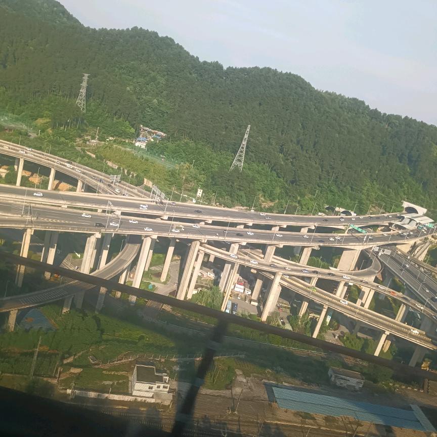 韦哥