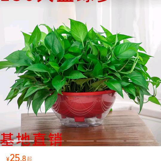 怎么开心怎么过