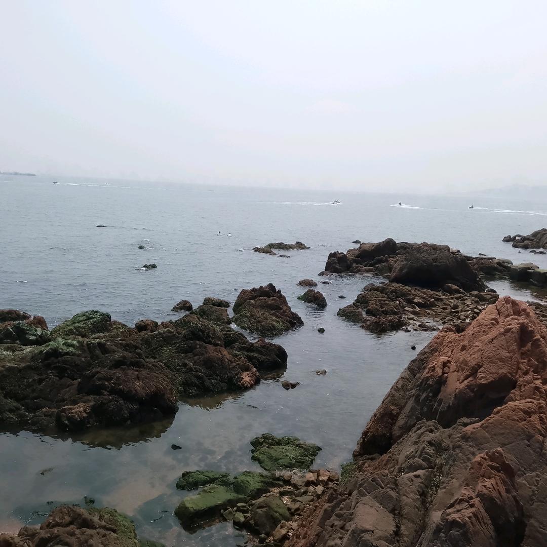 李尚往来