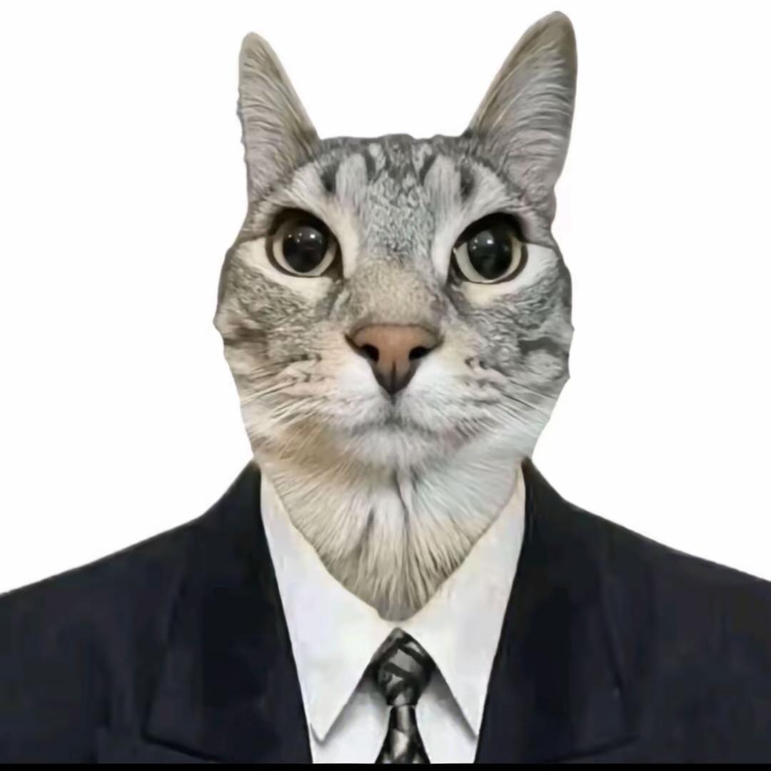 秋秋球球          ╲