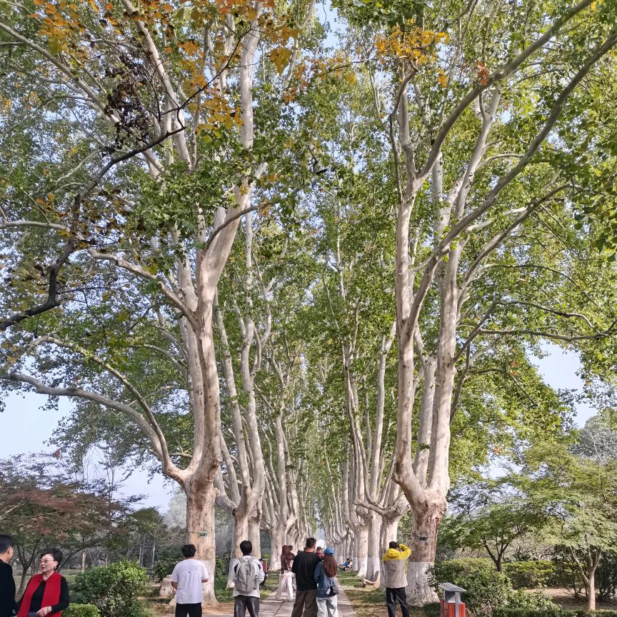 💋缘份🌹随缘就好