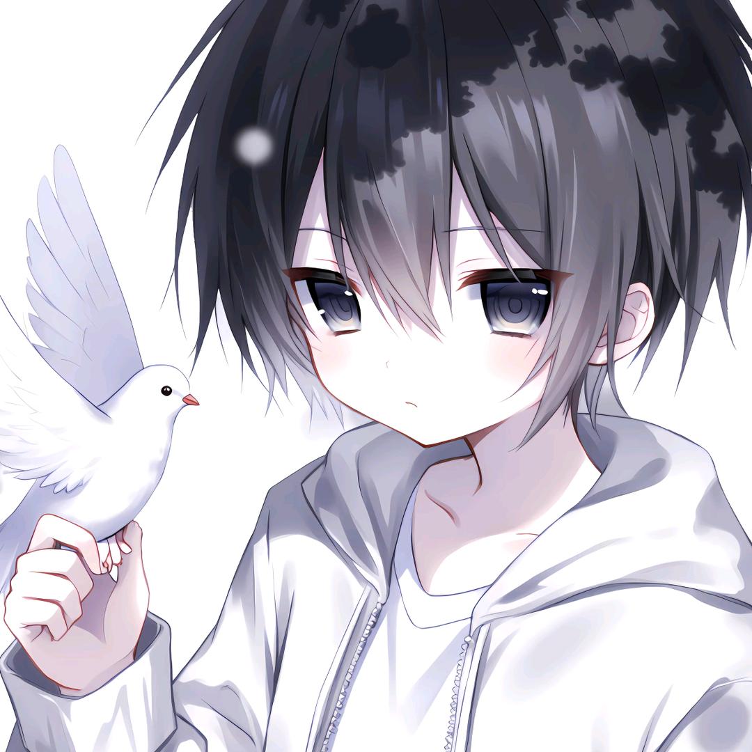 灿灿降临（国一澜）