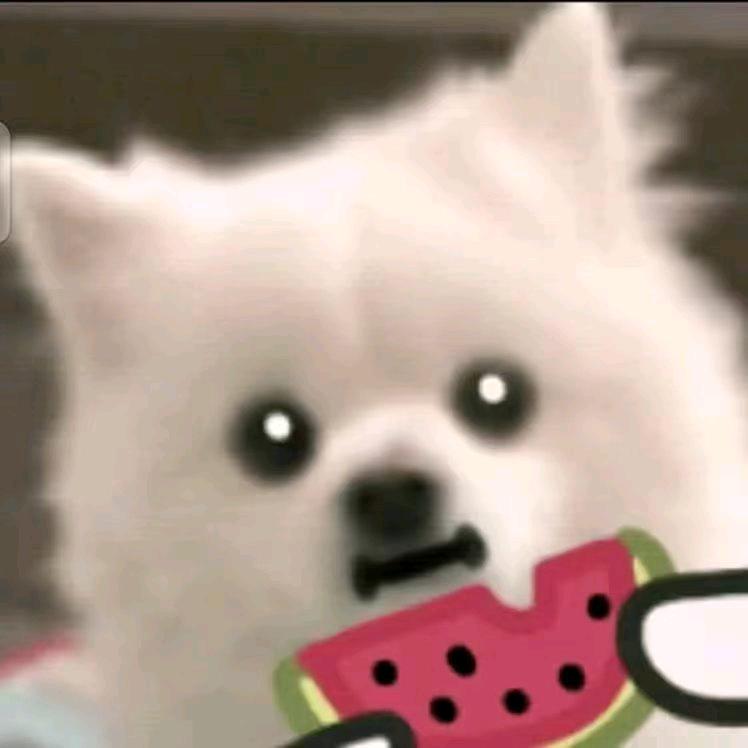 梦求真（暗区突围）