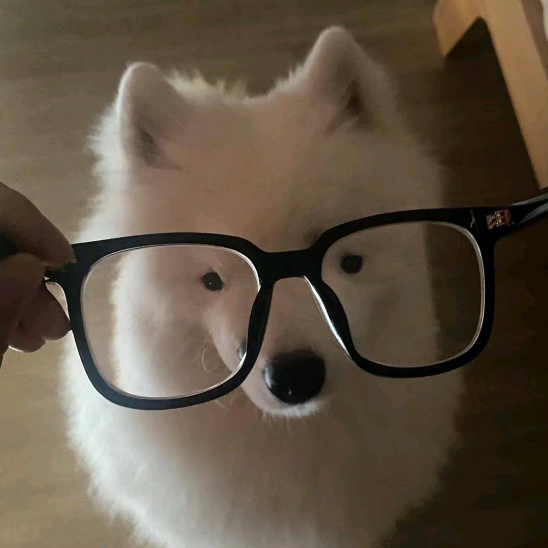 望云帆
