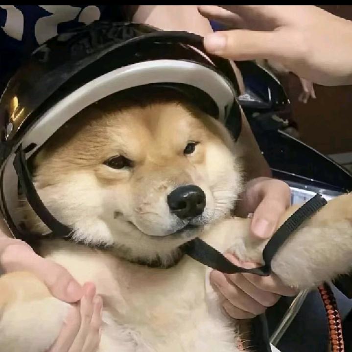哈基杰