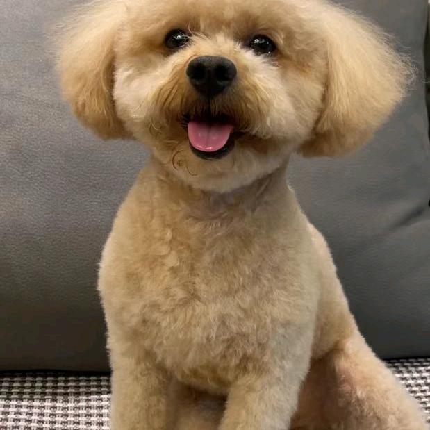 月亮打烊我摆摊