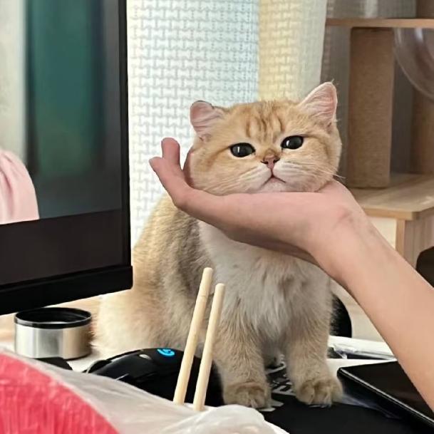 爆炒小龙虾