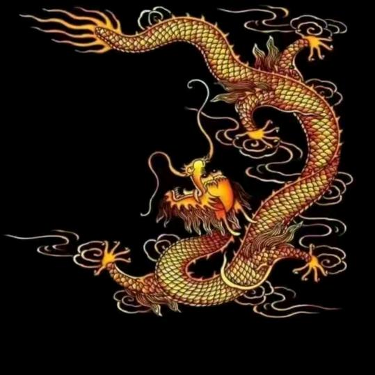 小龙青