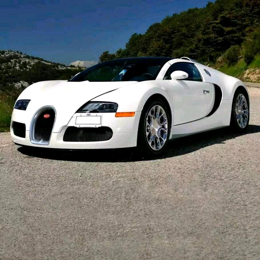 陕西人在宁波（涛哥）HR