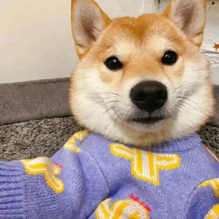 还会告晚安吗