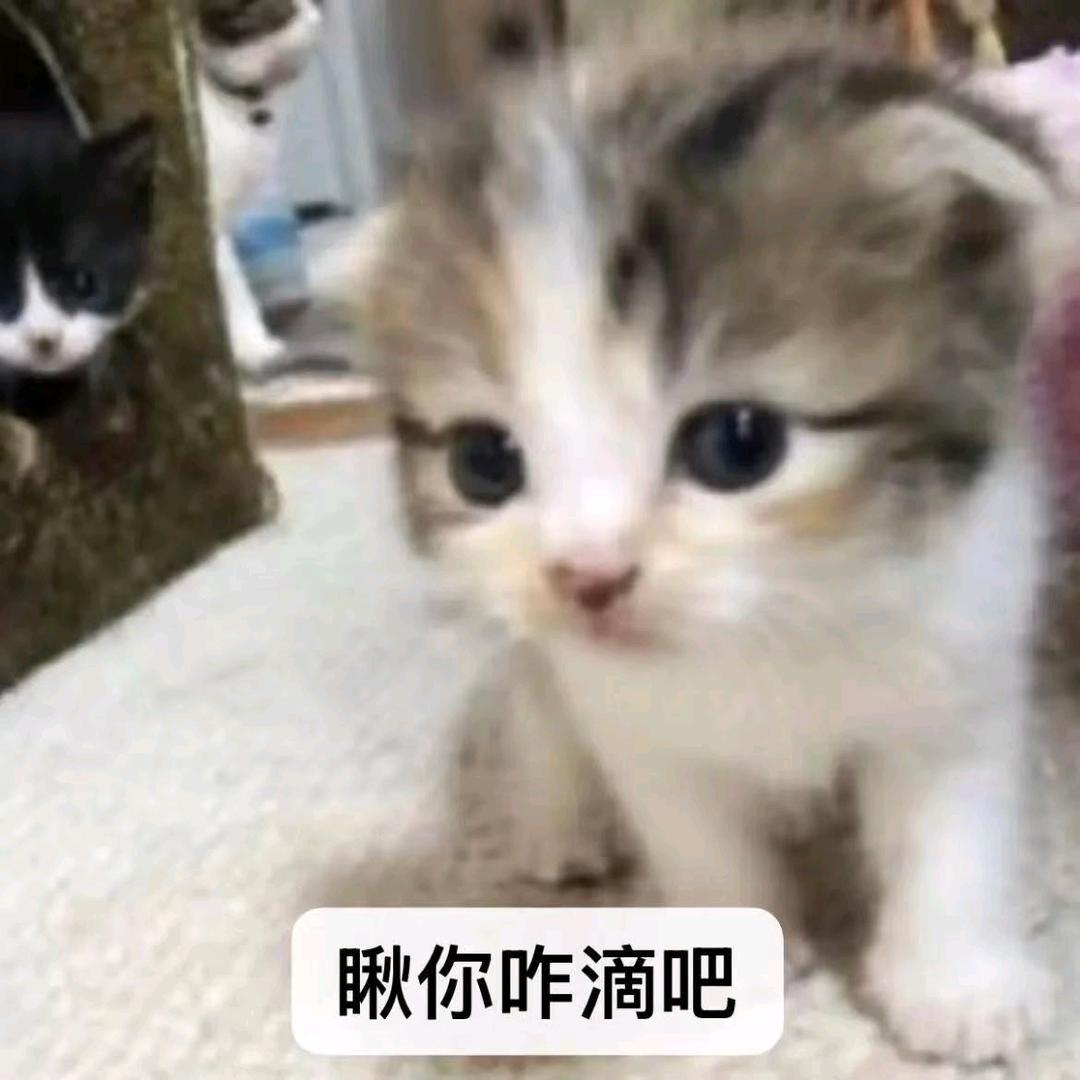 天生仇富