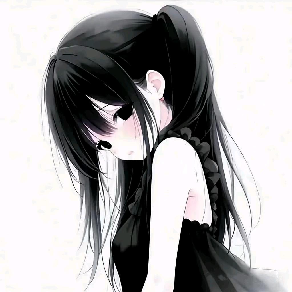 小猫 ￴ ￴ ￴￴ ￴ ￴ ￴