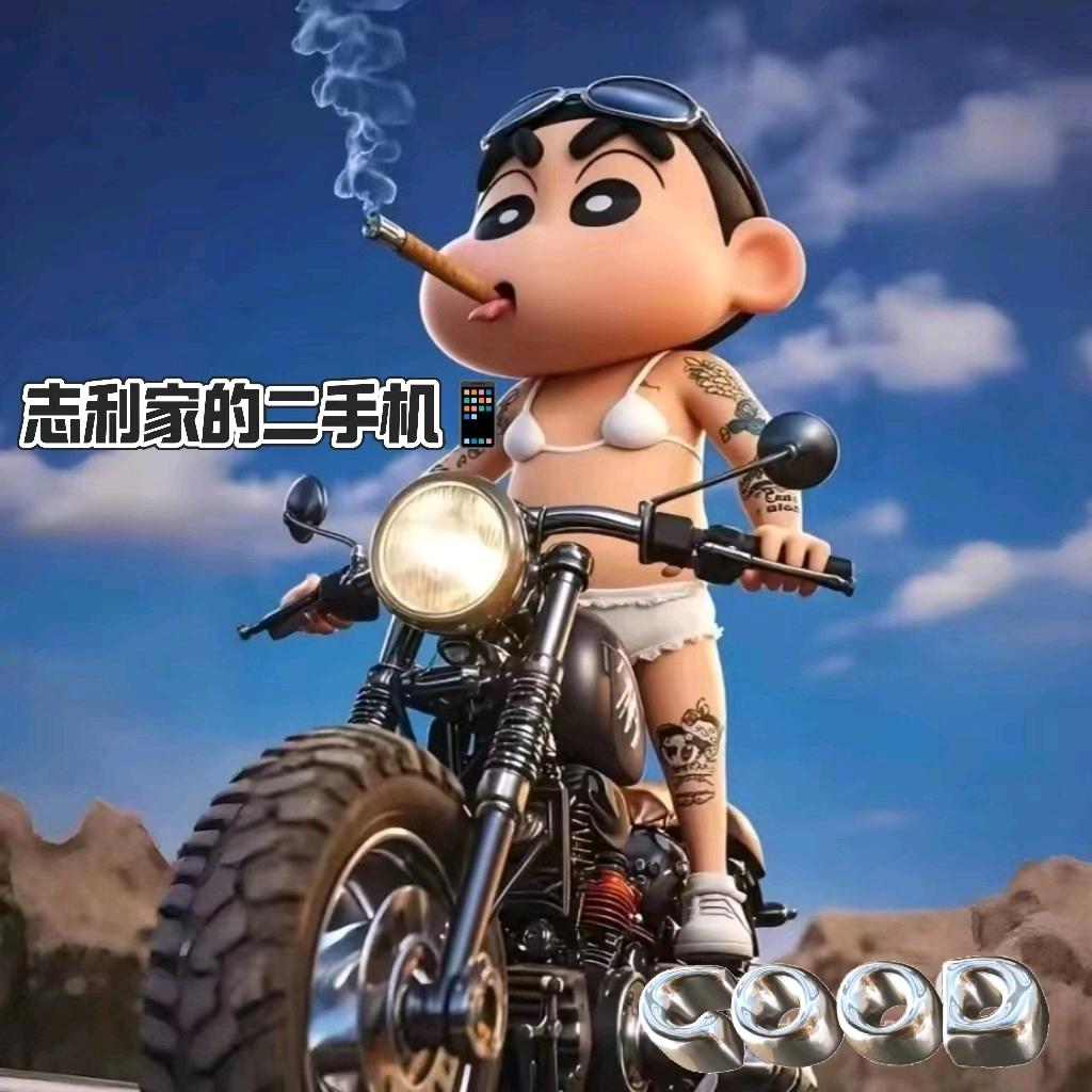 志利家的二手机